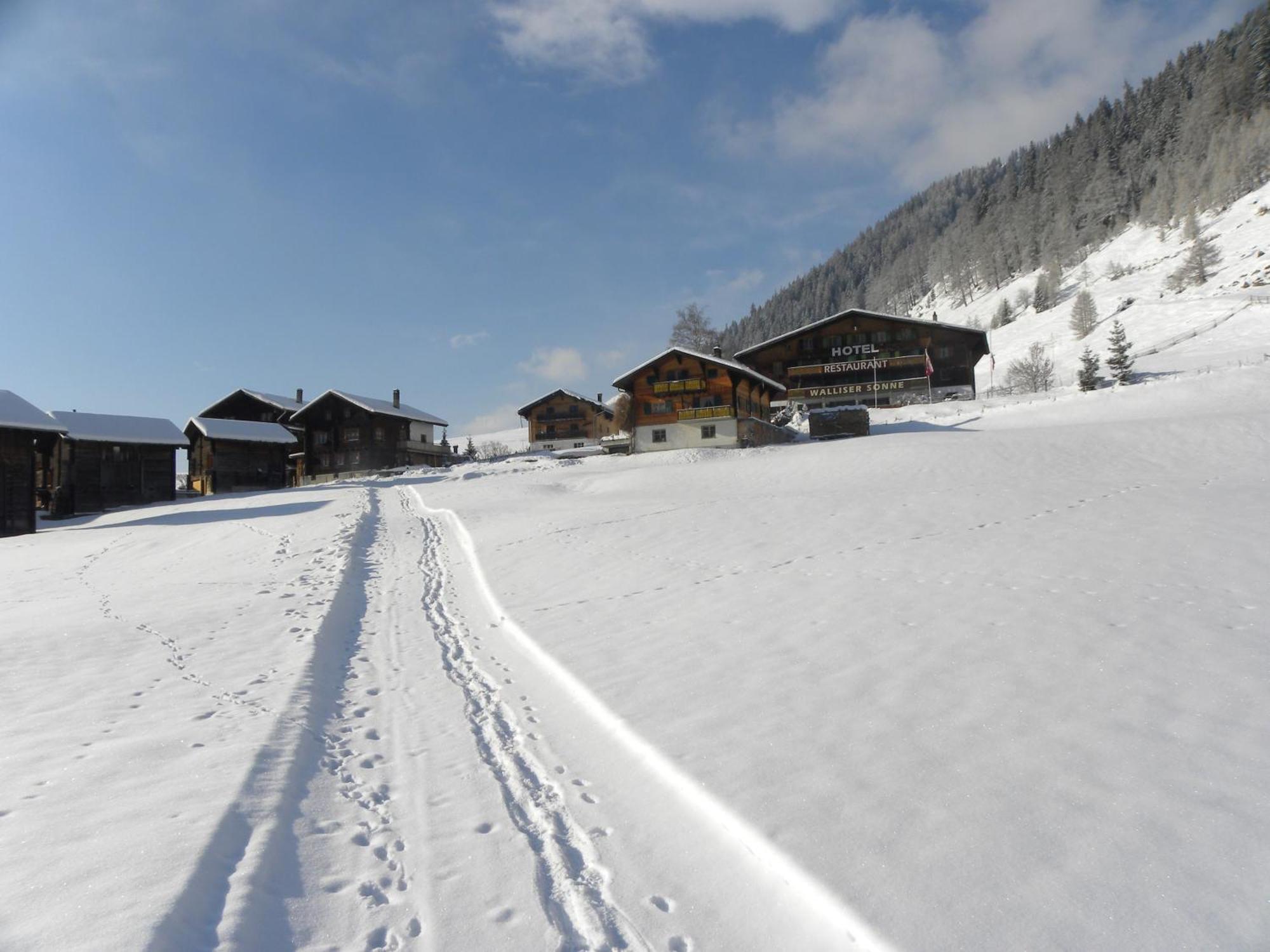 Hotel Restaurant Walliser Sonne Reckingen