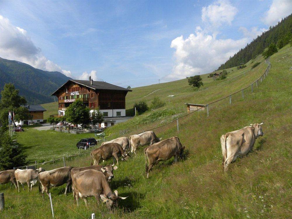 Restaurant Walliser Sonne Hotel 2*